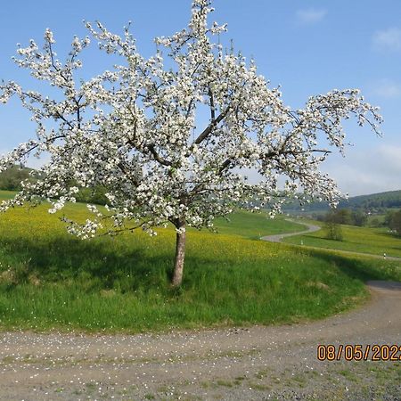 Ferienwohnung Rhoen Kaltennordheim 外观 照片