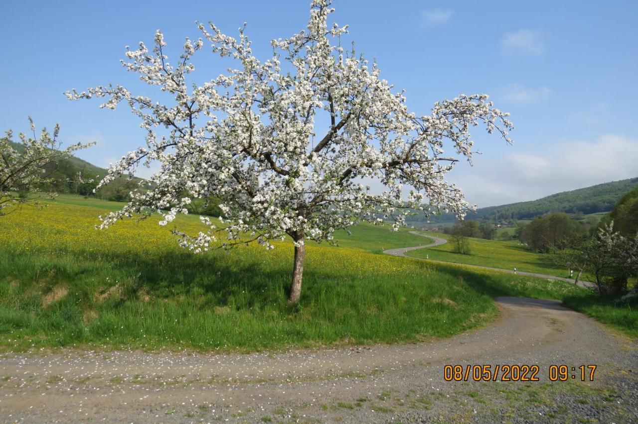 Ferienwohnung Rhoen Kaltennordheim 外观 照片