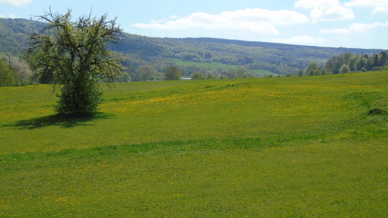Ferienwohnung Rhoen Kaltennordheim 外观 照片